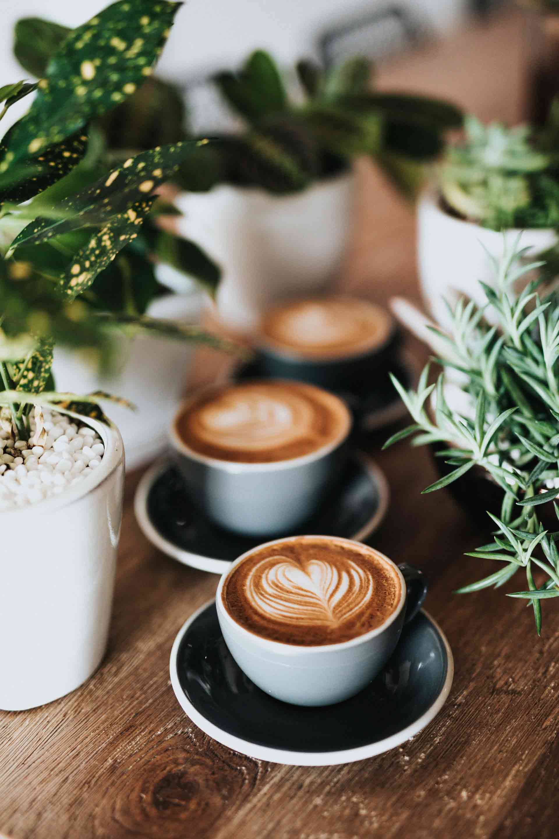coffee in mugs